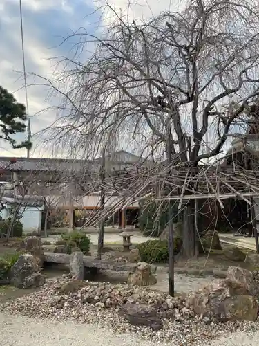 妙蓮寺(京都府)