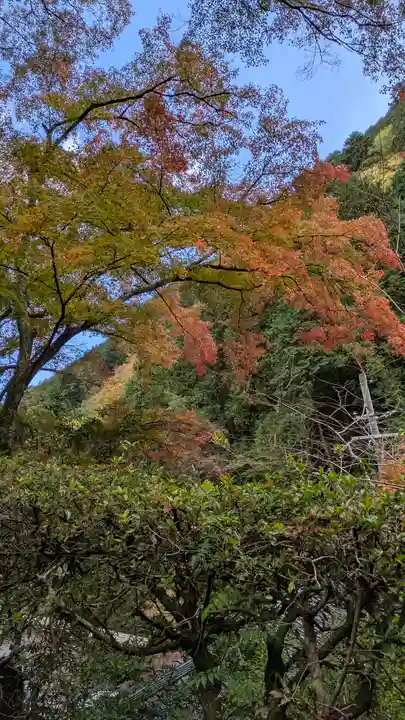 善峯寺(京都府)