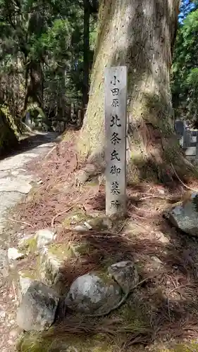 高野山金剛峯寺奥の院(和歌山県)