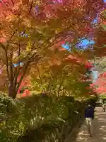 壇上伽藍(和歌山県)