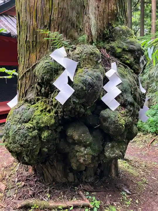 本宮神社(日光二荒山神社別宮)(栃木県)