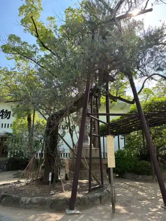 湊川神社(兵庫県)