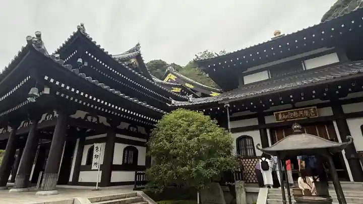 長谷寺(神奈川県)
