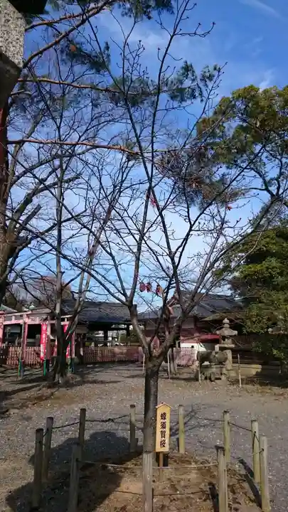 豊国神社の庭園