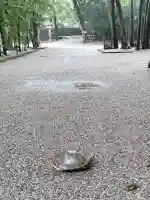 香良洲神社(三重県)