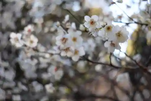 長仙寺(東京都)