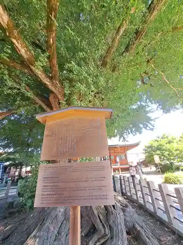 飛騨国分寺(岐阜県)