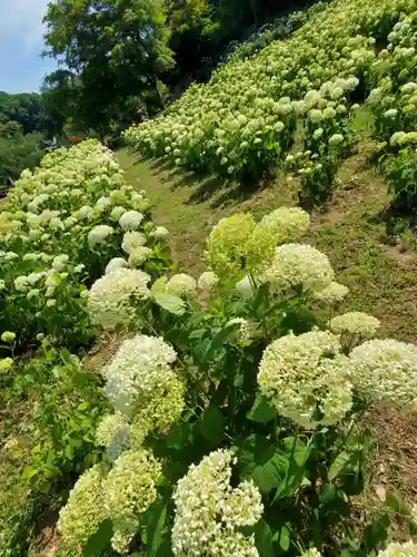 陽林寺(福島県)