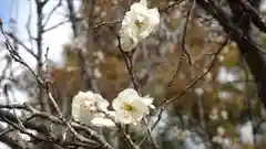 櫃蔵神社の自然