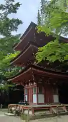 浄瑠璃寺の塔