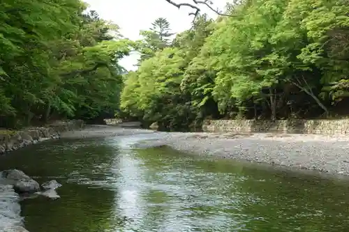 伊勢神宮内宮（皇大神宮）の自然