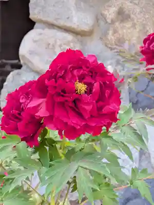 愛染院(東京都)