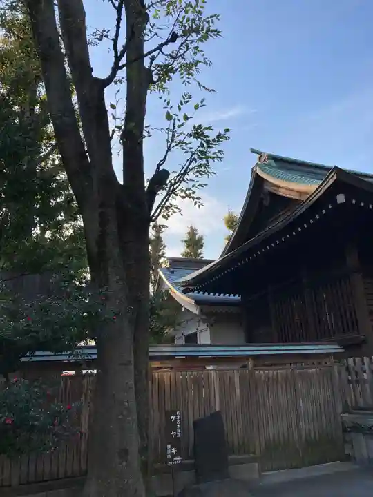 お三の宮日枝神社の本殿・本堂