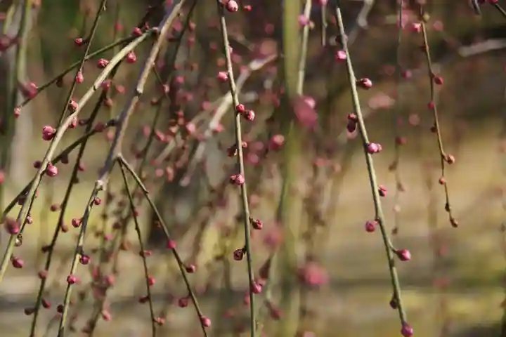 城南宮(京都府)
