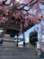 浄得寺のその他建物
