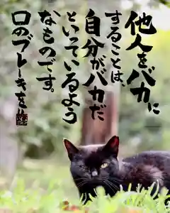 専念寺(大阪府)(2022年06月06日(月) 21時38分26秒投稿)