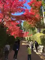 壇上伽藍の自然