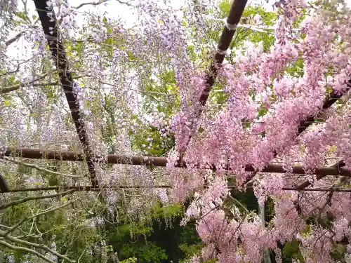 和氣神社（和気神社）の自然