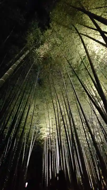 高台寺(高台寿聖禅寺・高臺寺)(京都府)