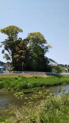 稲荷大明神の周辺