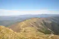 中津大明神(高知県)