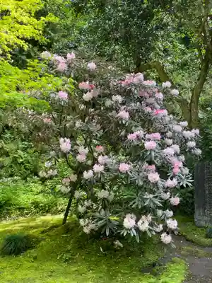 円通院(宮城県)