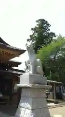 多田朝日森稲荷神社の狛犬