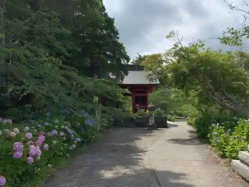 日運寺の山門