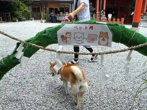 秩父今宮神社(埼玉県)
