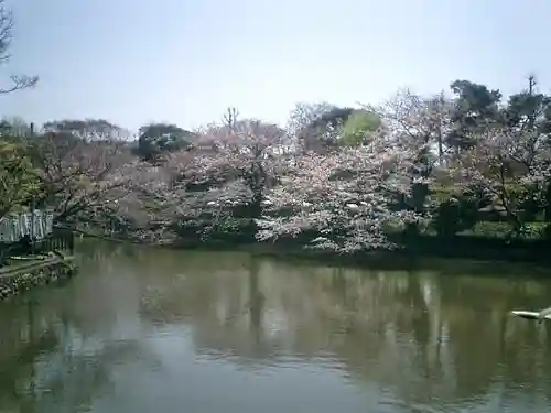 鶴岡八幡宮の庭園