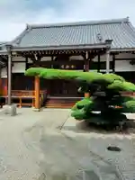 安樂寺(大阪府)