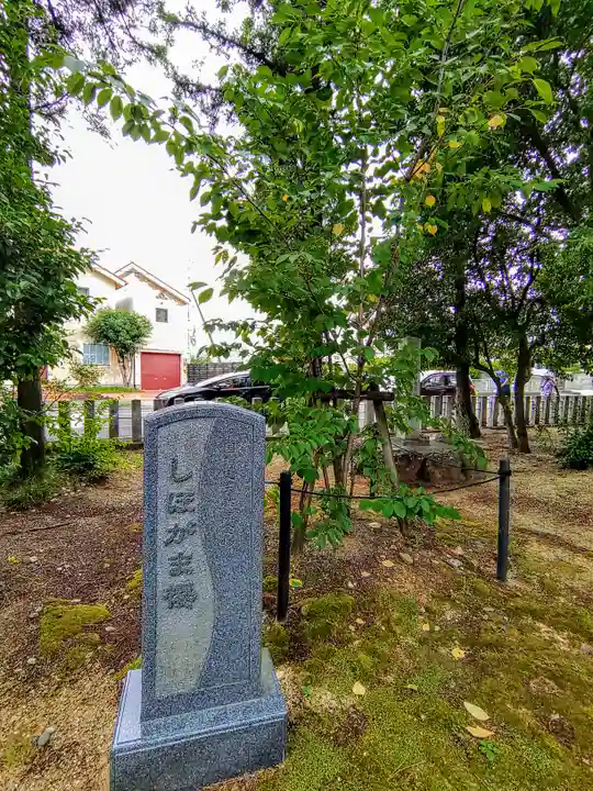 大井神社(如意)の自然