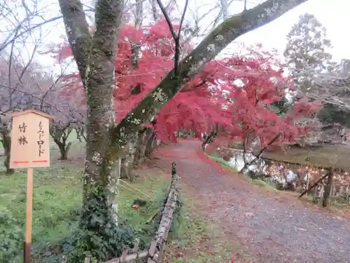 大覚寺(京都府)