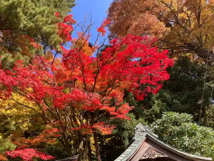 手長神社(長野県)