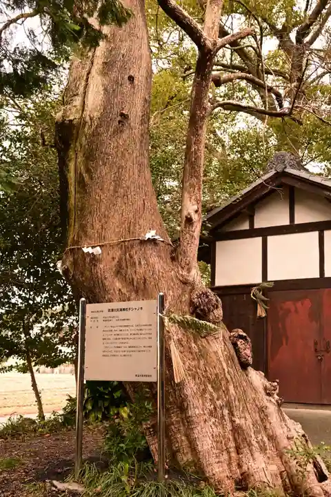 天満神社(愛媛県)