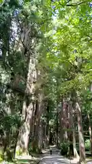 雄山神社中宮祈願殿(富山県)