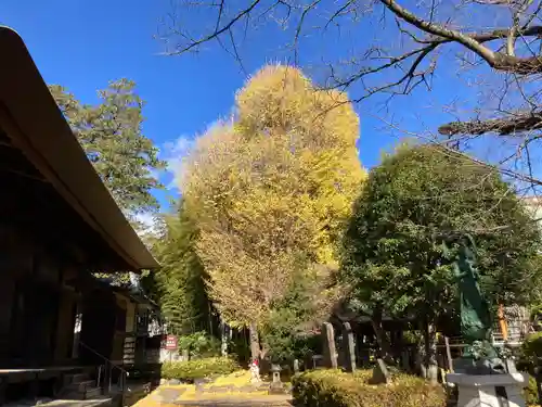 影向寺(神奈川県)