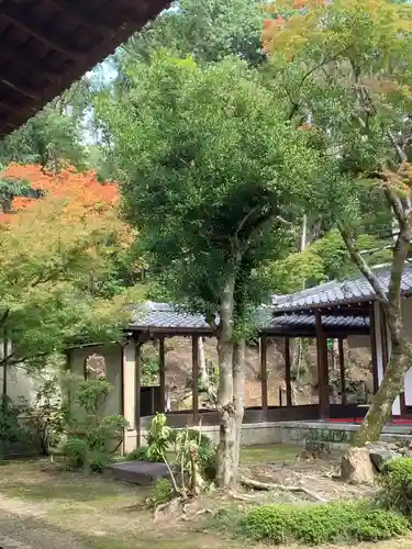 達磨堂 円福寺 の自然