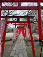 於菊稲荷神社の鳥居