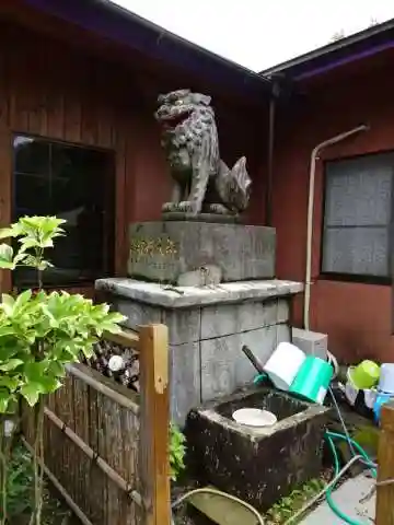 加紫久利神社の狛犬