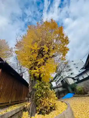 宇賀神社(京都府)