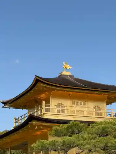 鹿苑寺（金閣寺）の{uncategorized: "未分類", other: "その他", undefined: "問題あり", building: "その他建物", grave: "お墓", sacred_gate: "鳥居", guardian: "狛犬", statue: "像", buddha: "仏像", history: "歴史", nature: "自然", garden: "庭園", animal: "動物", pagoda: "塔", temizu: "手水舎", mountain_gate: "山門・神門", sanctuary: "本殿・本堂", subordinate: "末社・摂社", art: "芸術", scenery: "景色", jizo: "地蔵", ema: "絵馬", goshuin: "御朱印", omikuji: "おみくじ", items: "授与品その他", amulet: "お守り", goshuincho: "御朱印帳", eats: "食事", festival: "お祭り", votive_dance: "神楽", shichigosan: "七五三参", wedding: "結婚式", experience: "体験その他", initially: "初詣", around: "周辺", anti_infection: "感染症対策"}