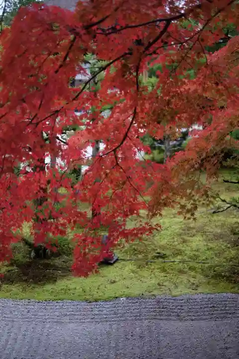 仁和寺の自然