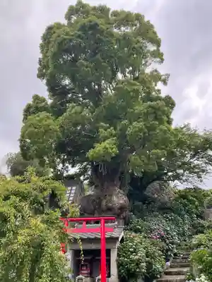 照江寺(静岡県)