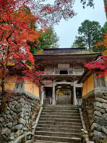 横蔵寺の山門・神門
