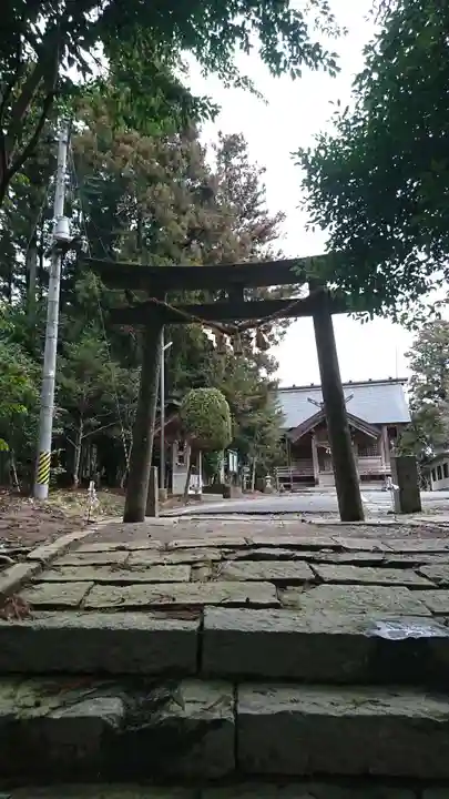大崎八幡神社の鳥居