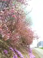 厚別神社(北海道)