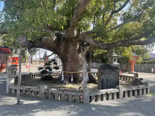 風浪宮(福岡県)