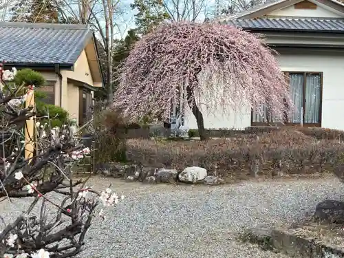 朝日森天満宮の庭園