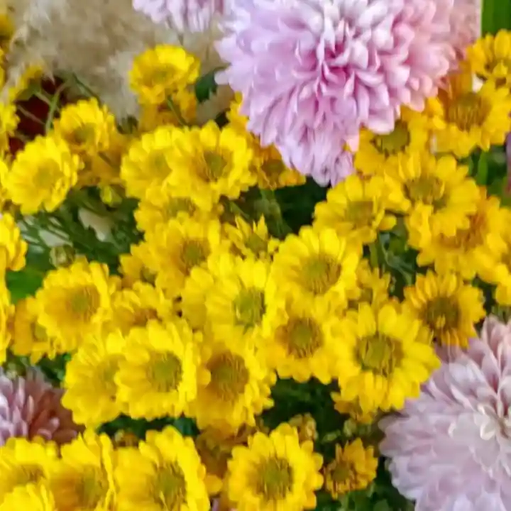 彌彦神社 (伊夜日子神社)(北海道)
